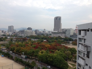 ファイル 343-3.jpg