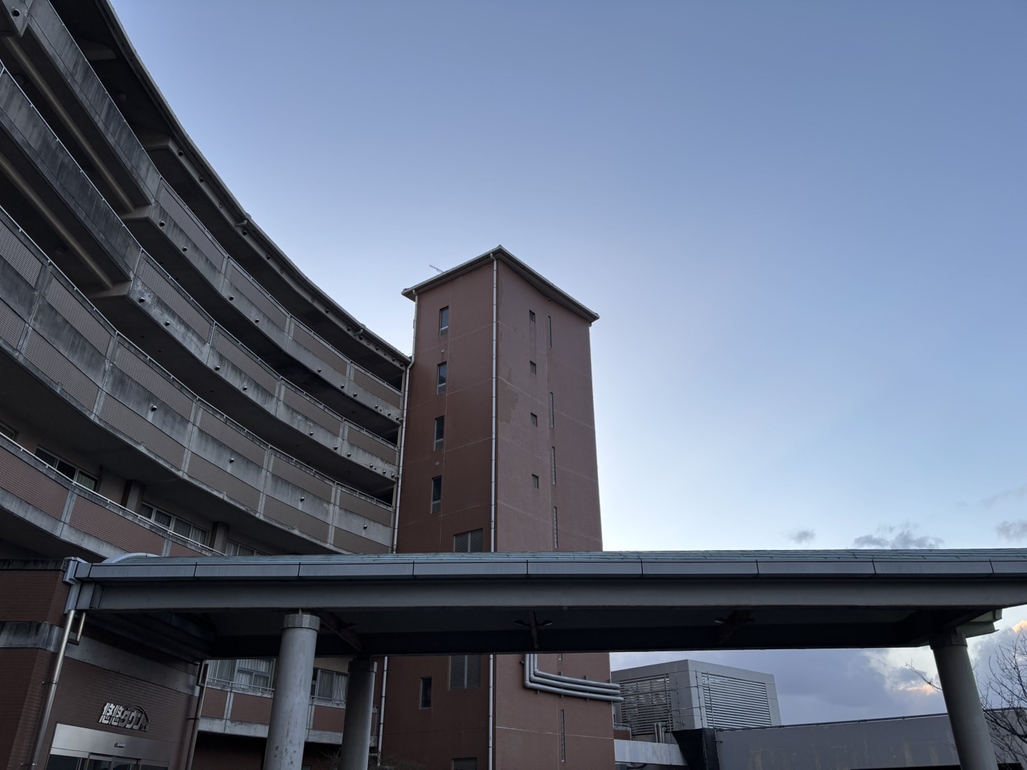 ファイル 916-1.jpeg