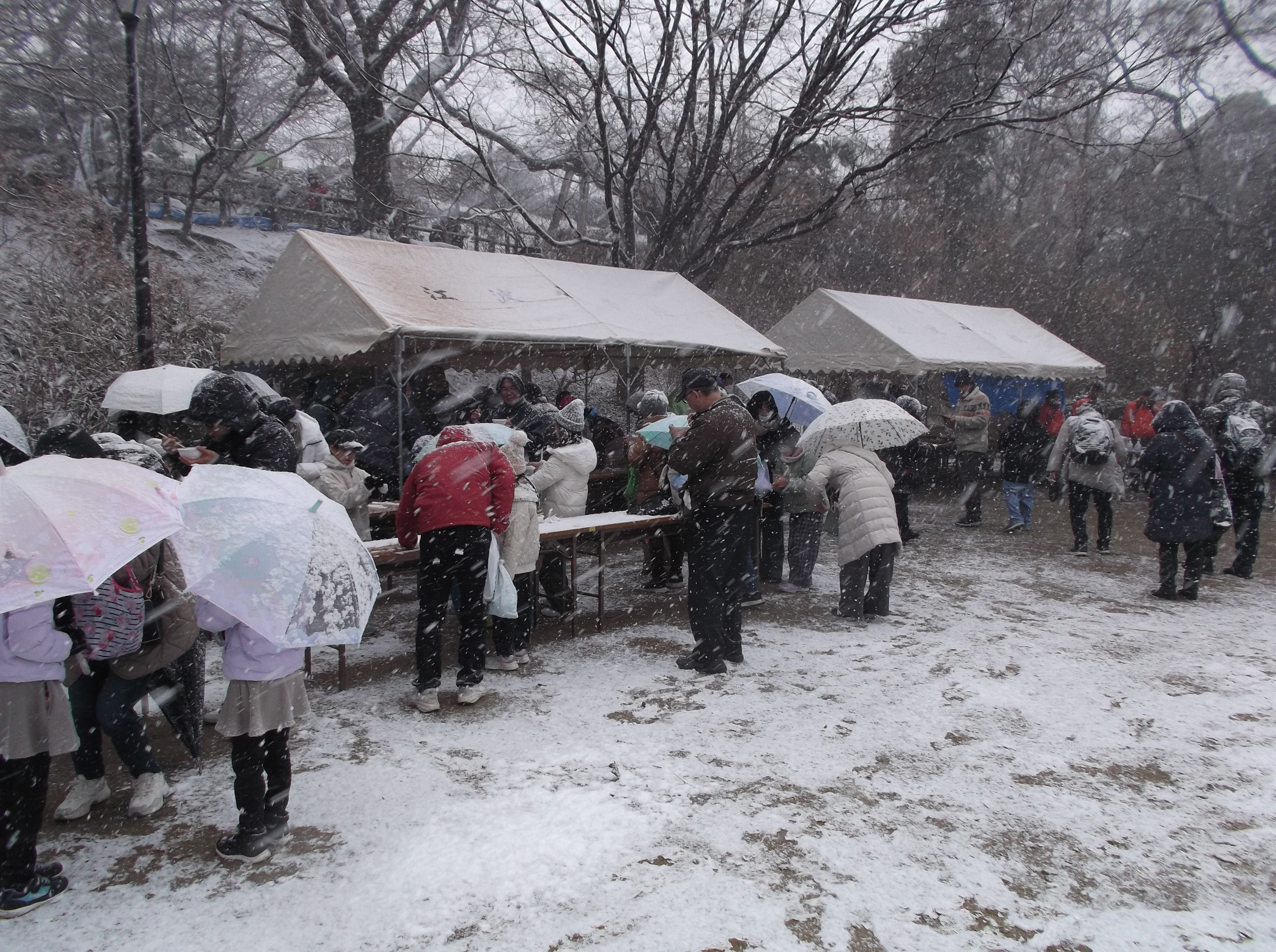 ファイル 928-1.jpg